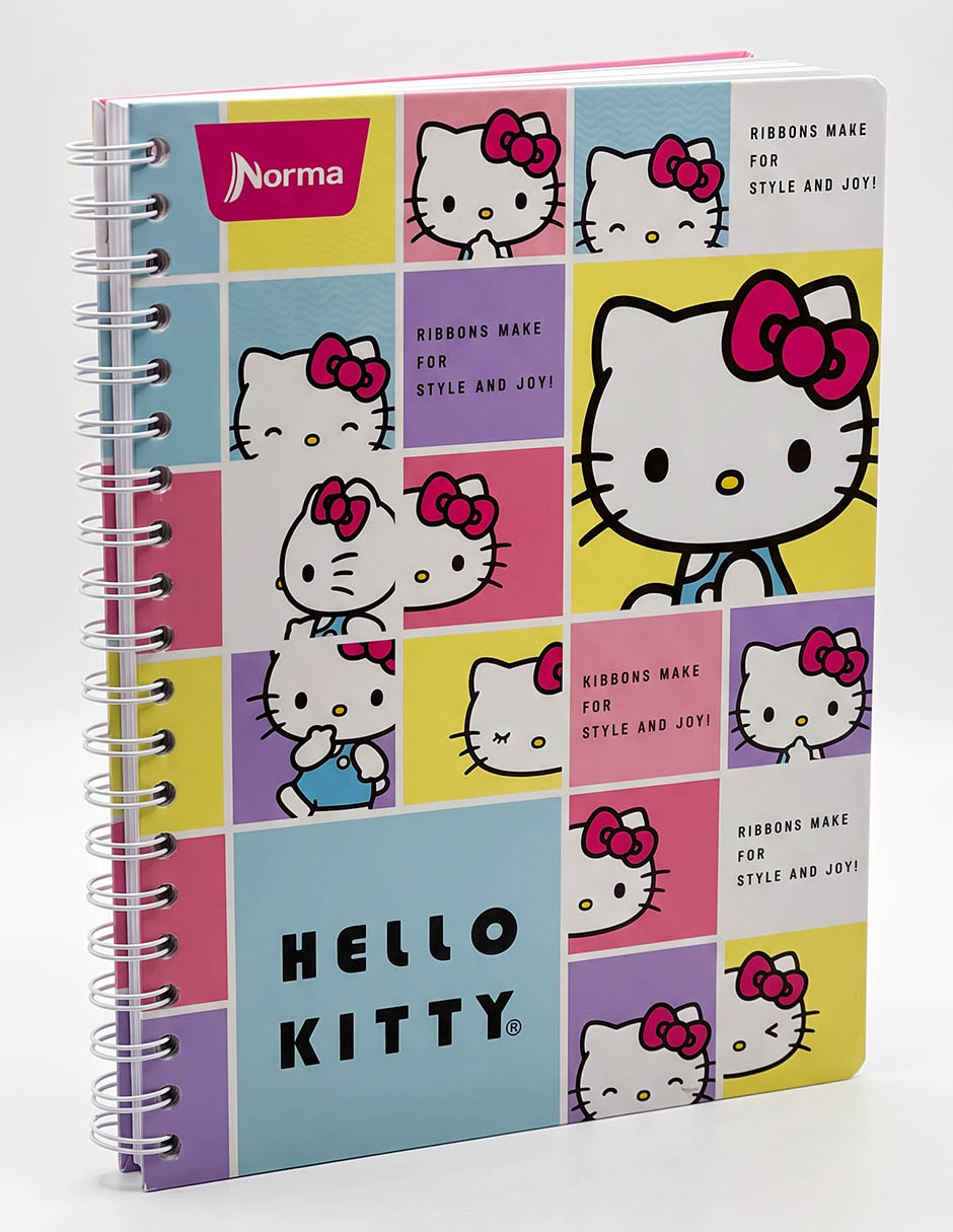 Cuaderno hoja a rayas 2